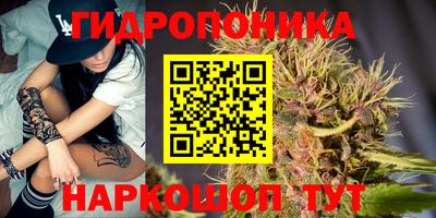 стаф Малгобек
