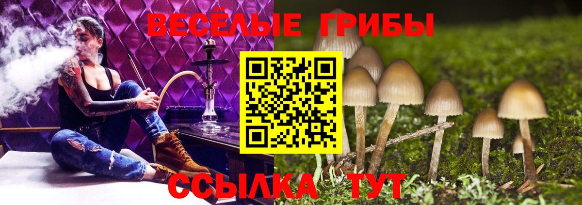 Псилоцибиновые грибы MAGIC MUSHROOMS  Галлюциногенные грибы ЛСД  Касимов  Вход с VPN 